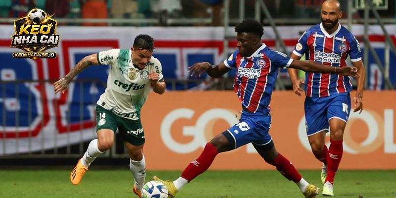 Nhận định Palmeiras vs Bahia Nhận định Palmeiras vs Bahia