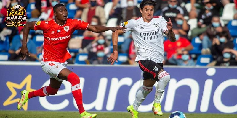 Nhận định Santa Clara vs Benfica Nhận định Santa Clara vs Benfica